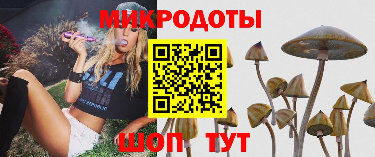 как найти закладки  Псилоцибиновые грибы прущие грибы  Вход с VPN  Дзержинский 